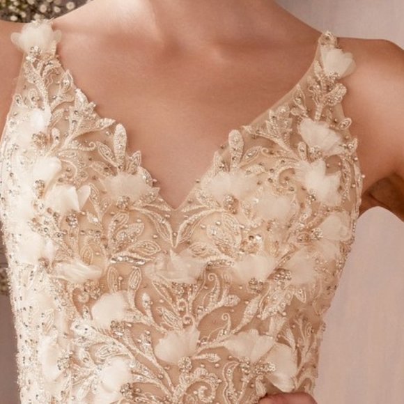 NEW CHAMPAGNE PROM PARTY EVENING FORMAL LACE FLORAL A-LINE DRESS CD0181 - Picture 6 of 7